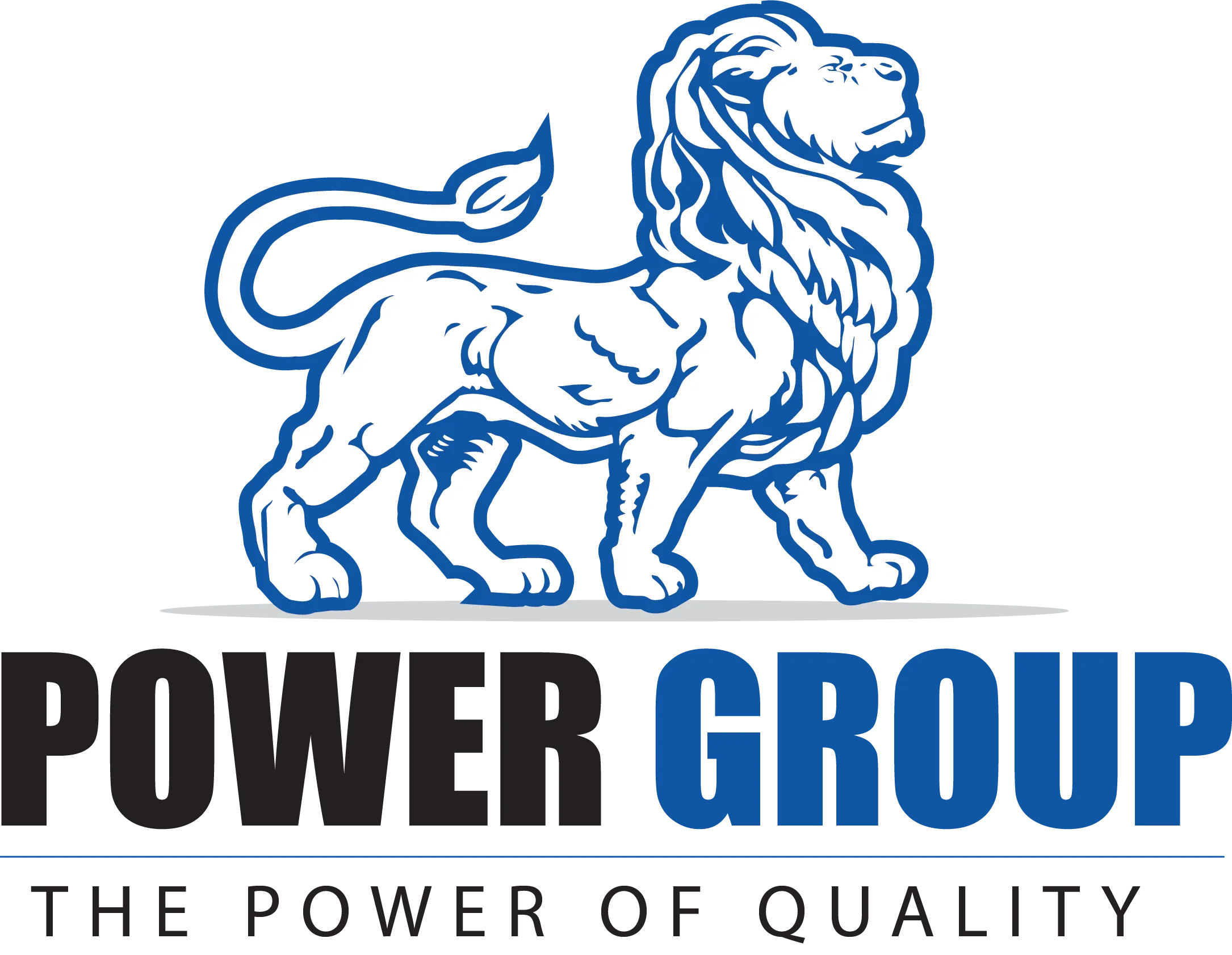 Power Group